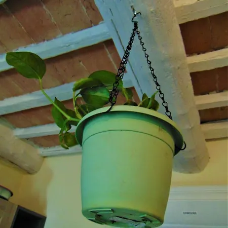 Un Posto Nel 锡耶纳