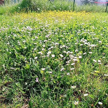 住宿加早餐酒店 Un Posto Nel 锡耶纳