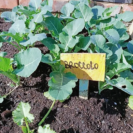 Un Posto Nel فندق مبيت وإفطار سيينا