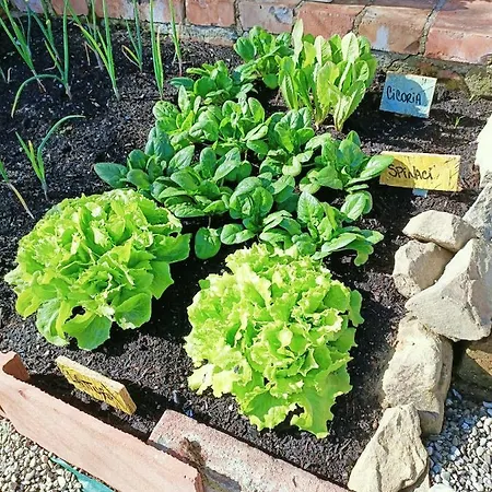 Un Posto Nel فندق مبيت وإفطار 3*