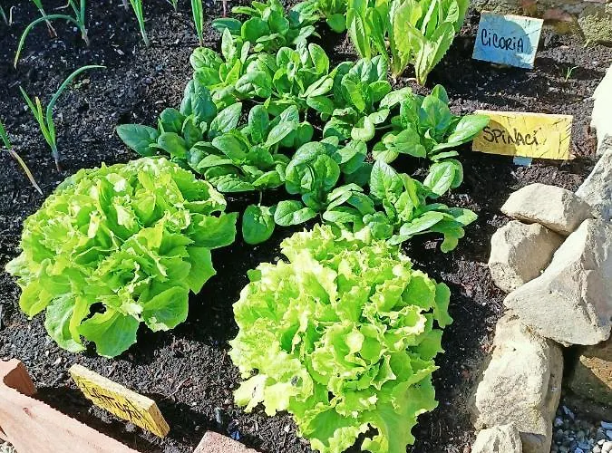 Un Posto Nel Bed & Breakfast 3*