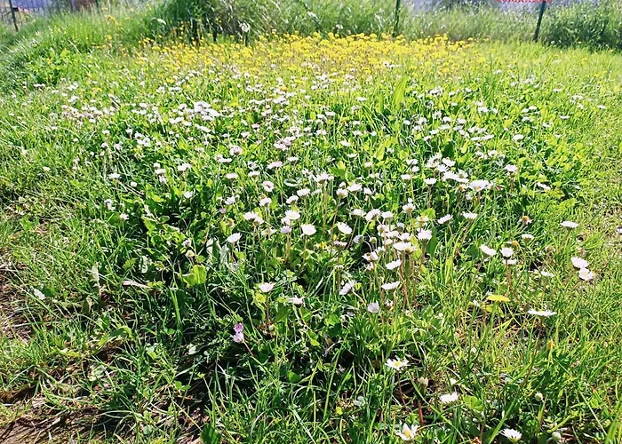 Oda ve Kahvaltı Un Posto Nel Siena