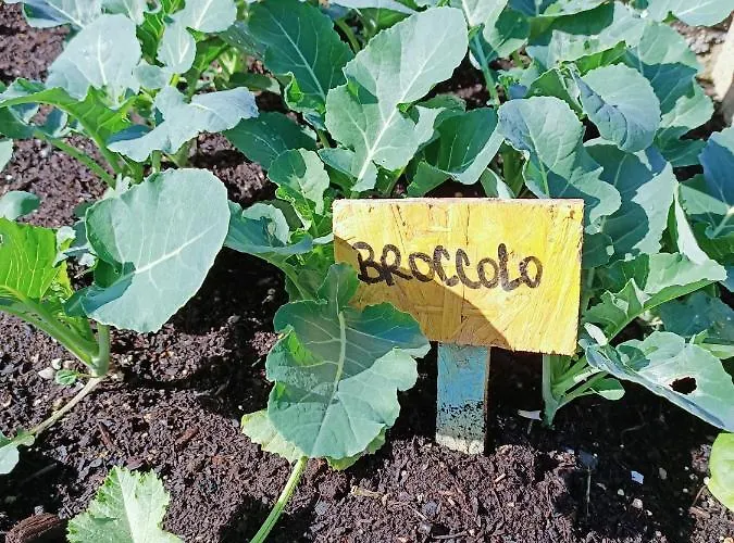 Un Posto Nel Oda ve Kahvaltı Siena